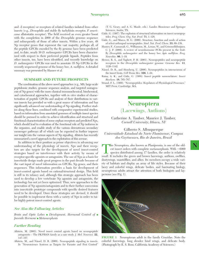 PDF) Neuroptera: (Lacewings, Antlions)