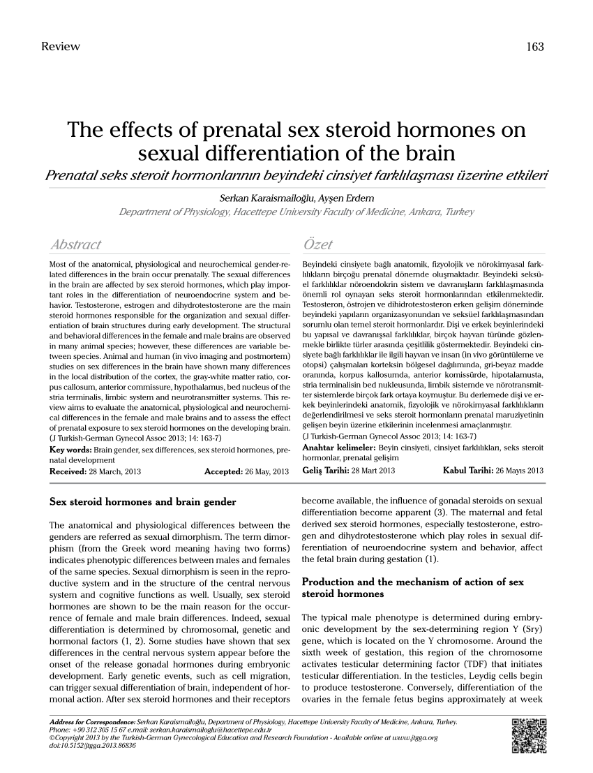 PDF) The effects of prenatal sex steroid hormones on sexual differentiation of the brain afbeelding