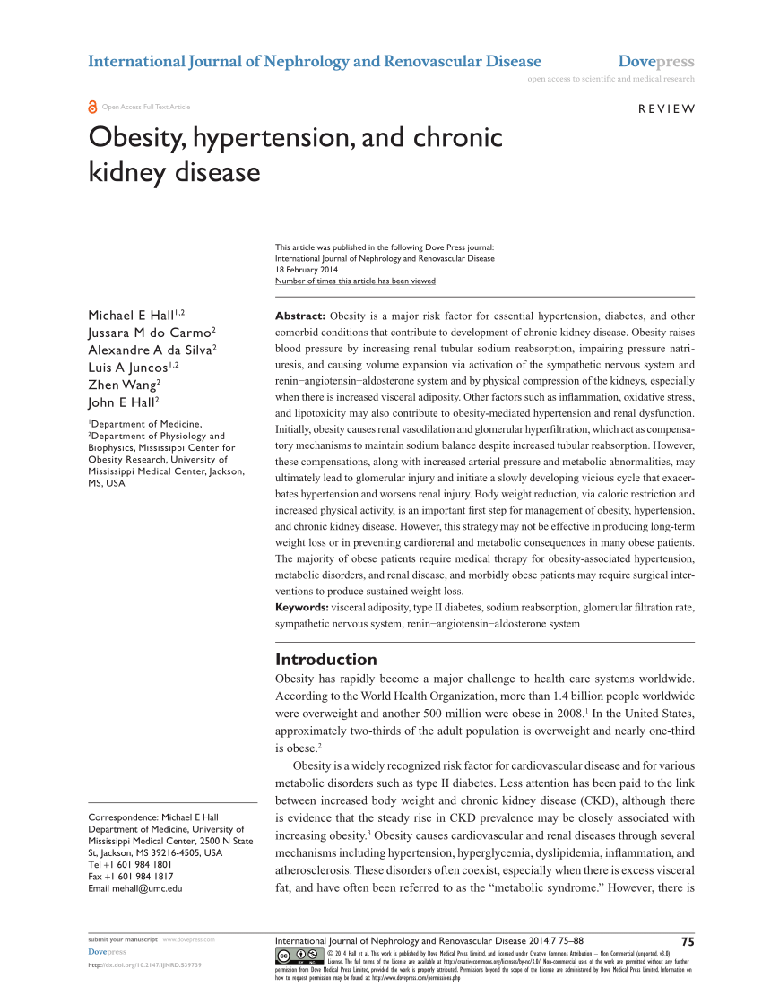 literature review on obesity and hypertension