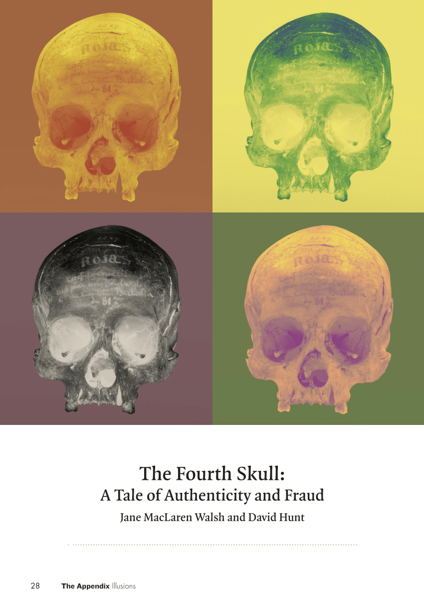 PDF) The Fourth Skull: A Tale of Authenticity and Fraud