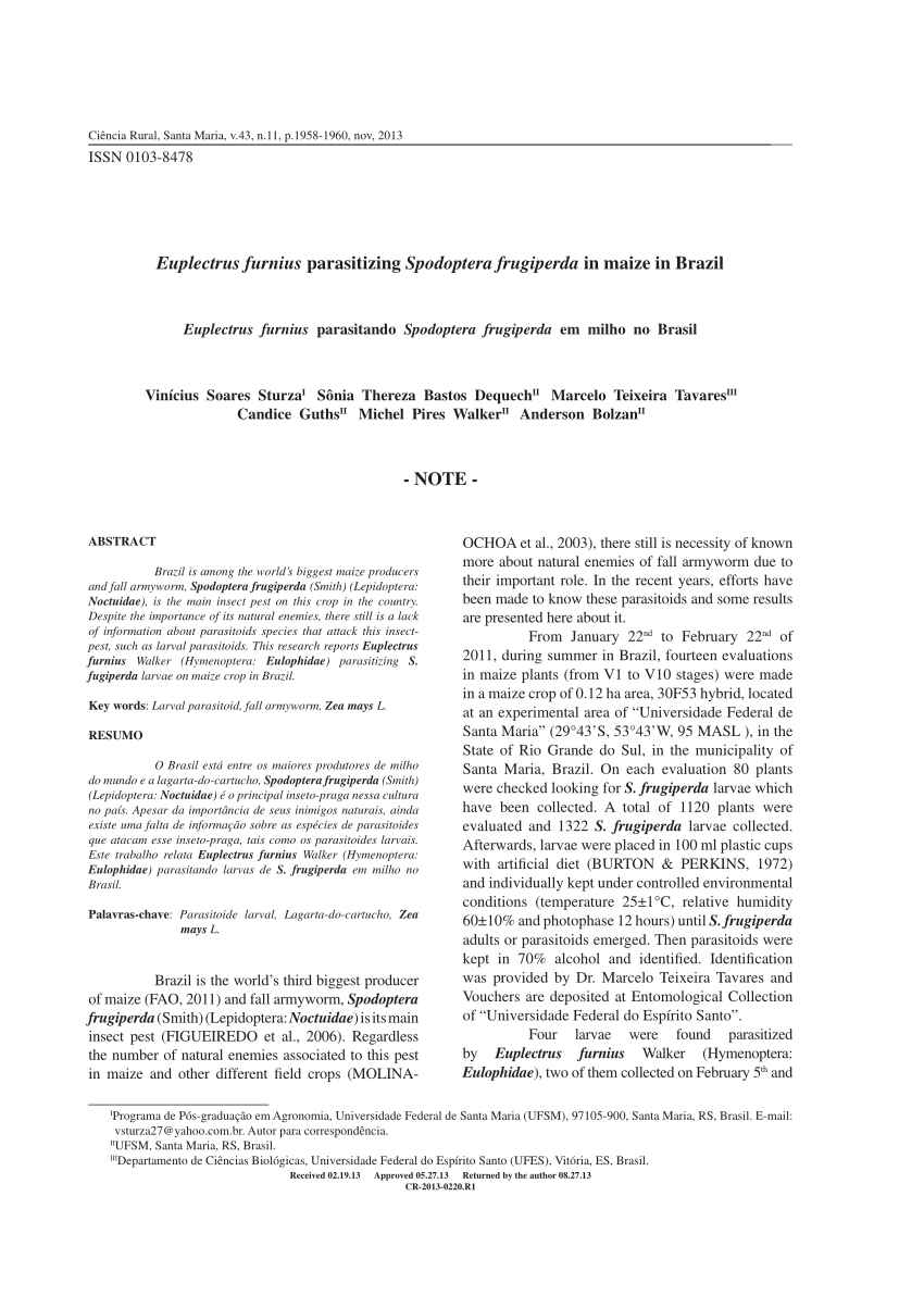 Pdf Euplectrus Furnius Parasitizing Spodoptera Frugiperda In Maize In Brazil