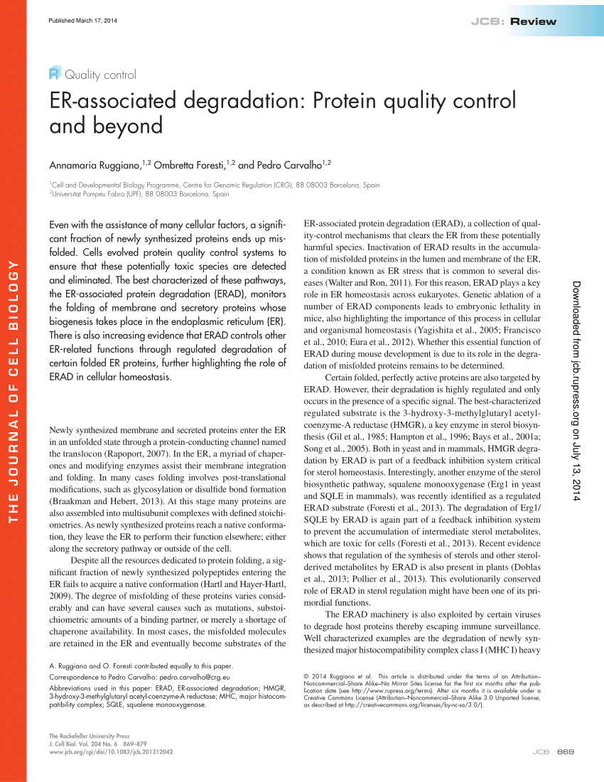 PDF) Quality control: ER-associated degradation: Protein