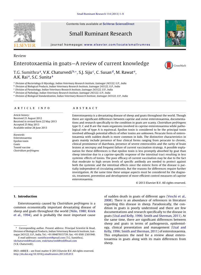 PDF Enterotoxaemia in goats A review of current knowledge