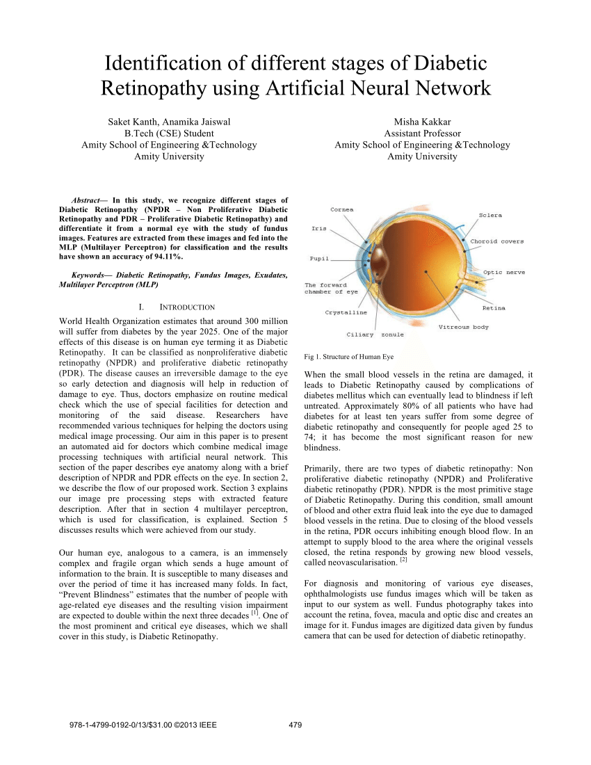 diabetic retinopathy research paper