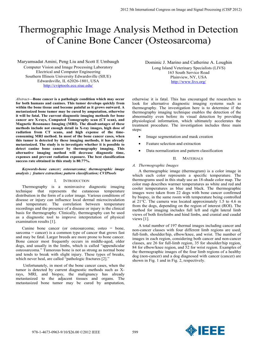 bone cancer research paper