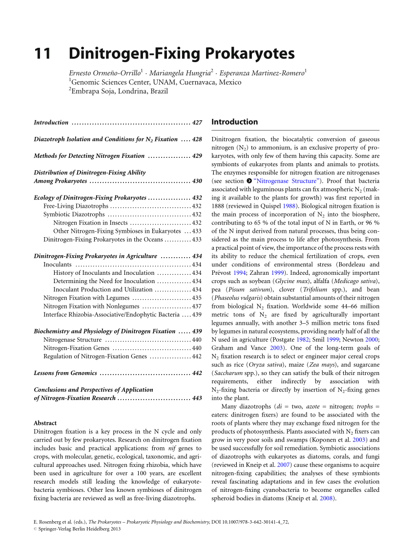 Pdf Dinitrogen Fixing Prokaryotes