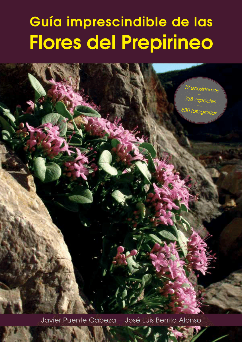 administración observación Espectáculo PDF) Guía imprescindible de las flores del Prepirineo y tierras vecinas