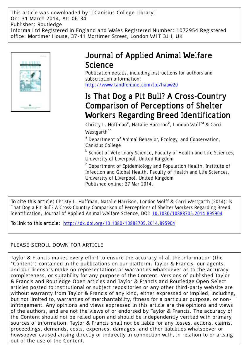 manual american pitbull terrier pdf