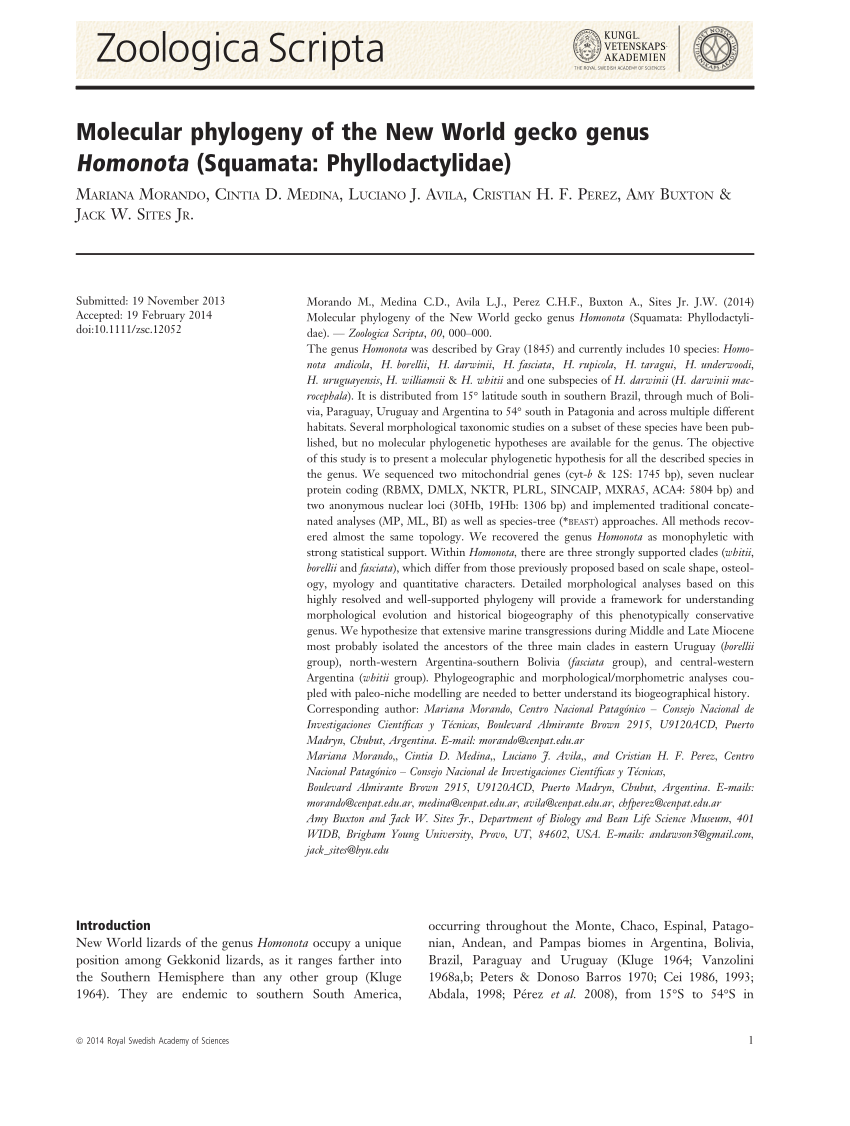 Pdf Molecular Phylogeny Of The New World Gecko Genus Homonota Squamata Phyllodactylidae