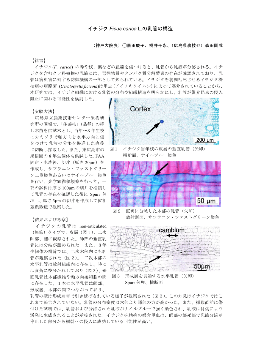 Pdf イチジクficus Carica L の乳管の構造 In Japanese