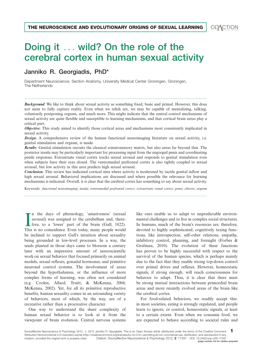human sexual activity