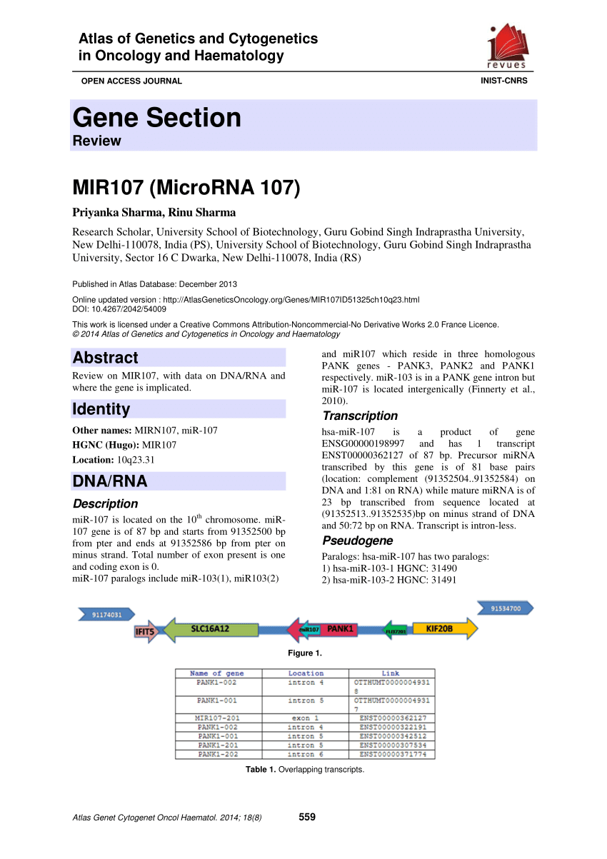 (PDF) MIR107 (MicroRNA 107)