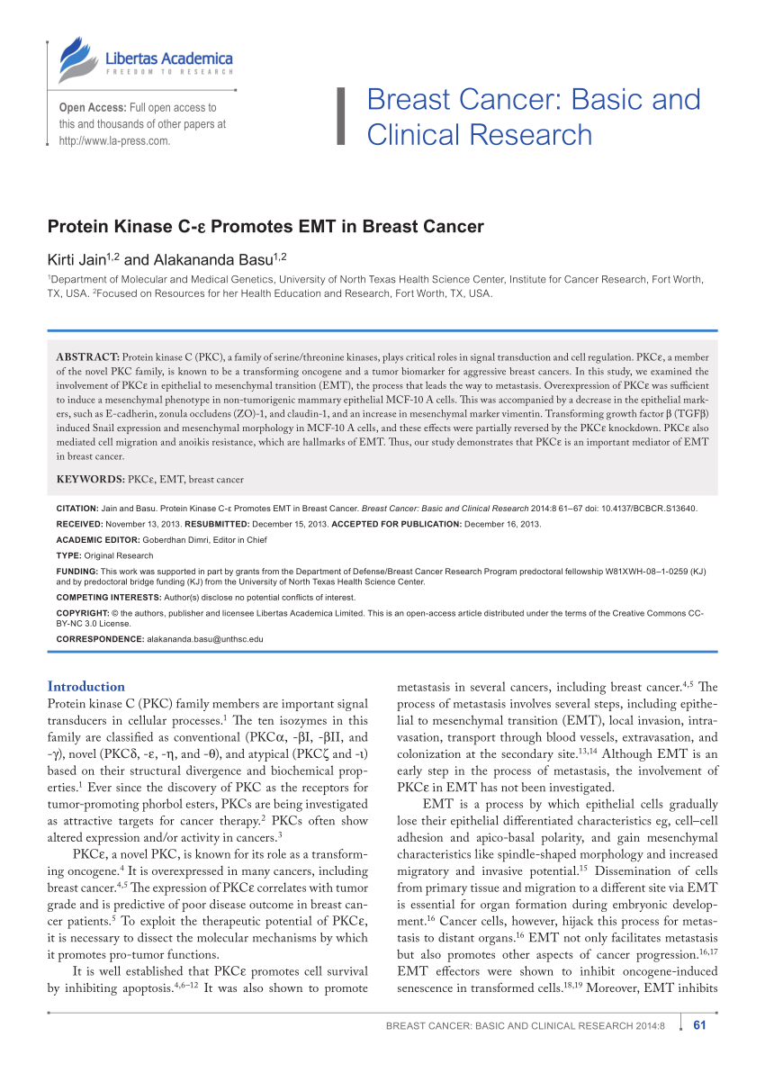 Pdf Protein Kinase C E Promotes Emt In Breast Cancer