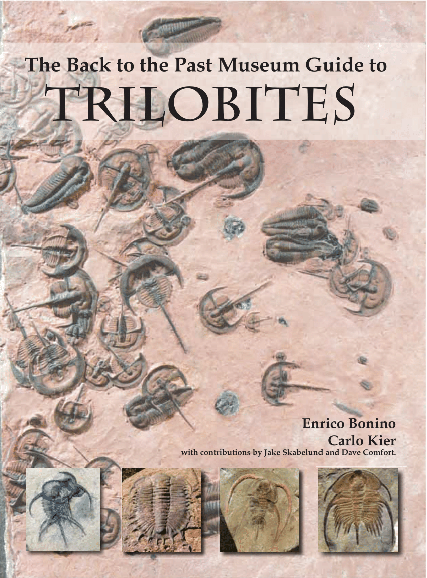 Lutrin de table à trilobes - Art'Istorie