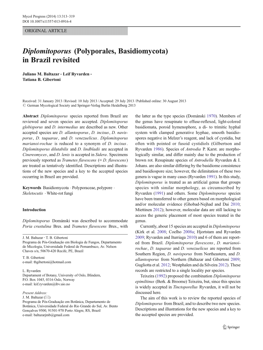 Pdf Diplomitoporus Polyporales Basidiomycota In Brazil Revisited