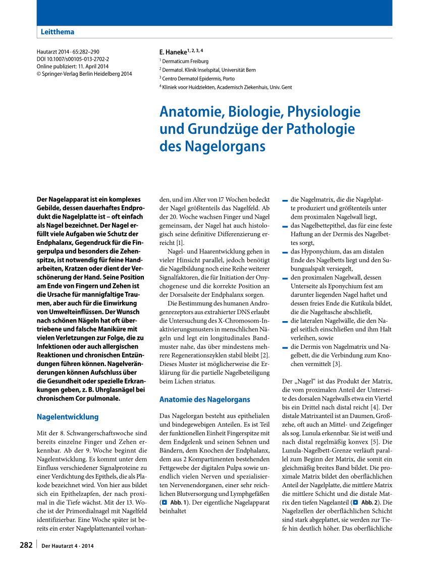 (PDF) Anatomy, biology, physiology and basic pathology of the nail organ
