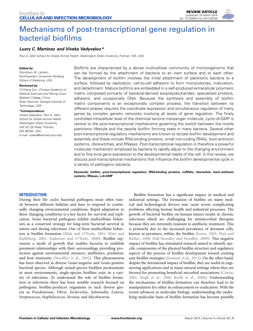 pdf-mechanisms-of-post-transcriptional-gene-regulation-in-bacterial