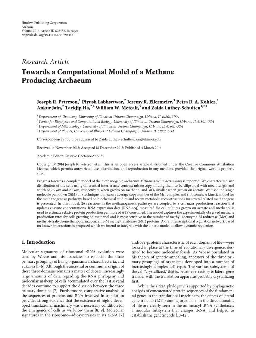 Pdf Towards A Computational Model Of A Methane Producing Archaeum