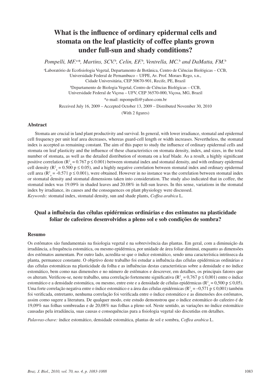 (PDF) What is the influence of ordinary epidermal cells and stomata on