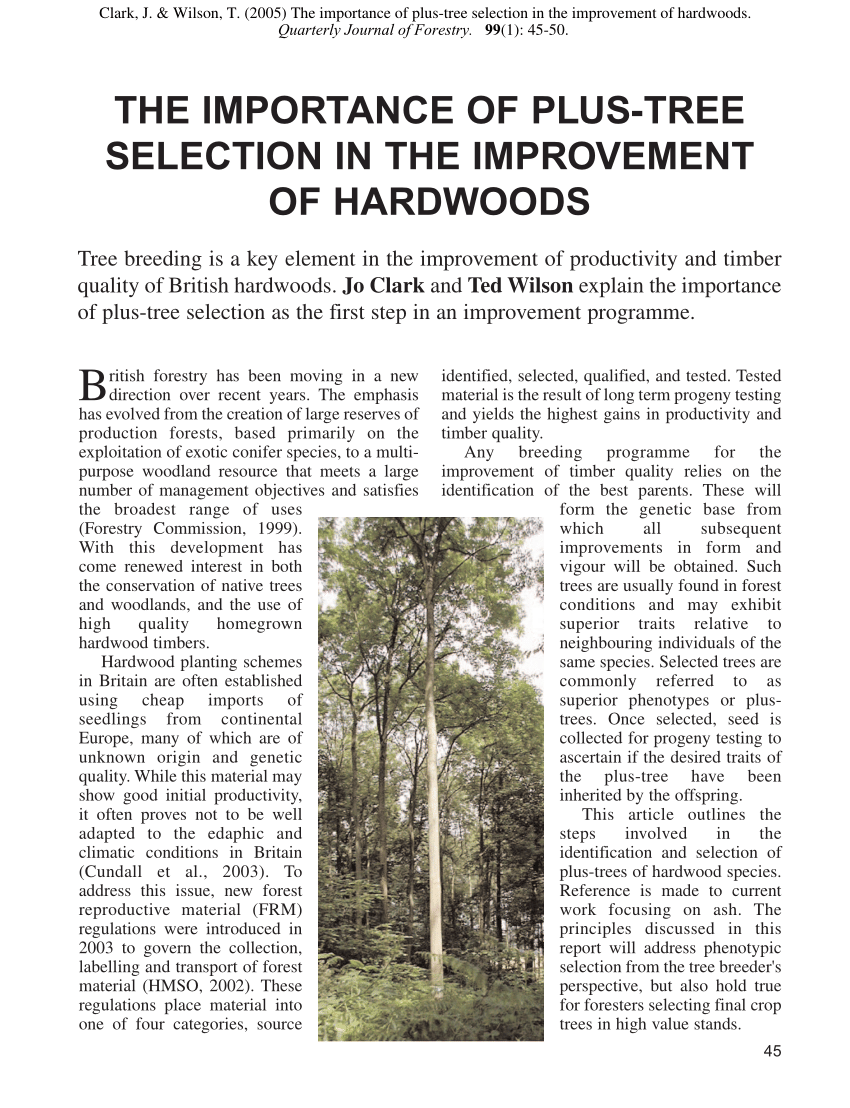 Pdf The Importance Of Plus Tree Selection In The Improvement Of Hardwoods