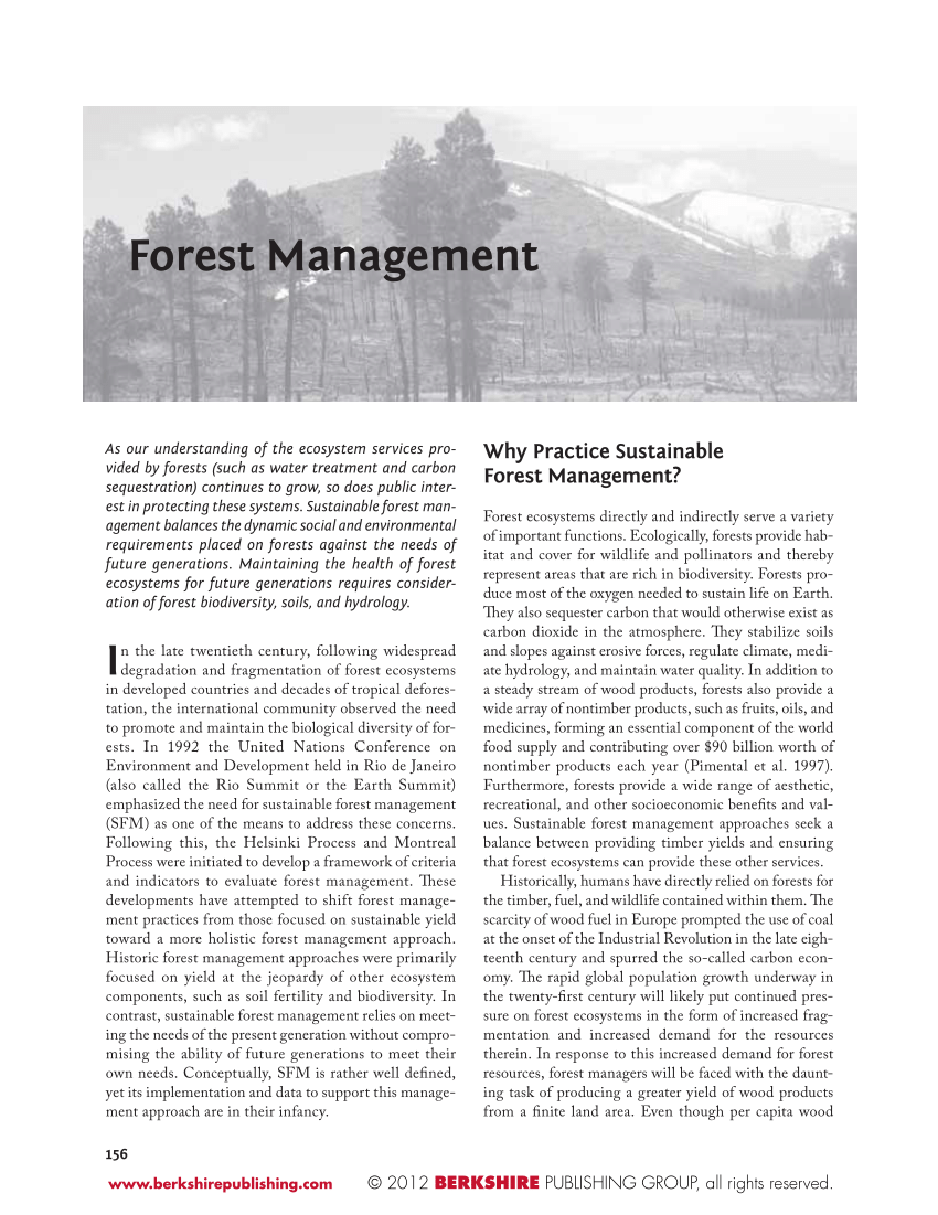 literature review on forest management