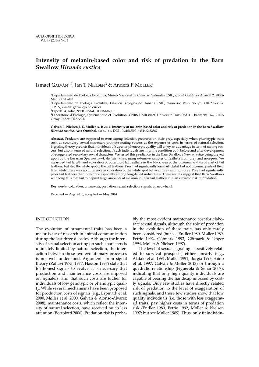 Pdf Intensity Of Melanin Based Color And Risk Of Predation In The