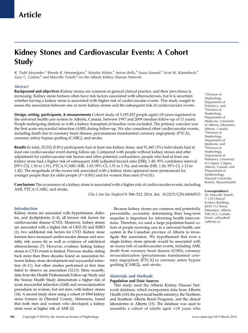 research paper on kidney stones