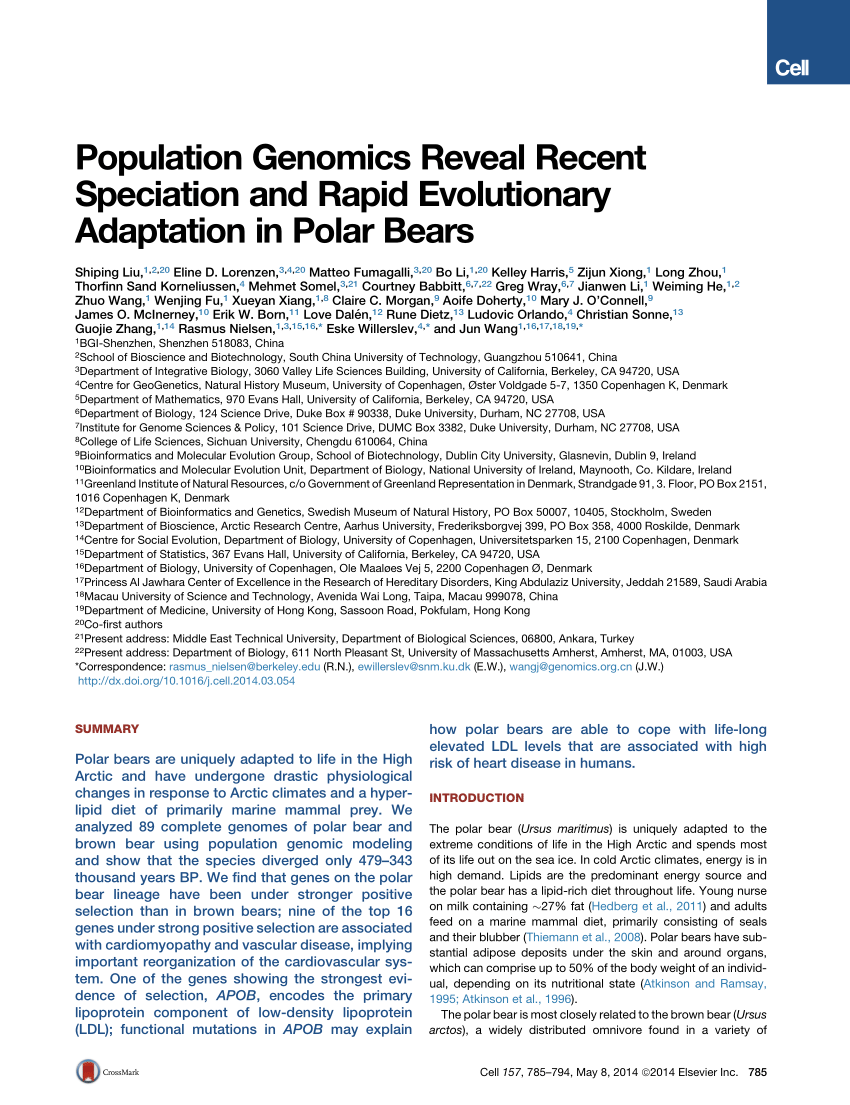 PDF) Population Genomics Reveal Recent Speciation and Rapid Evolutionary  Adaptation in Polar Bears