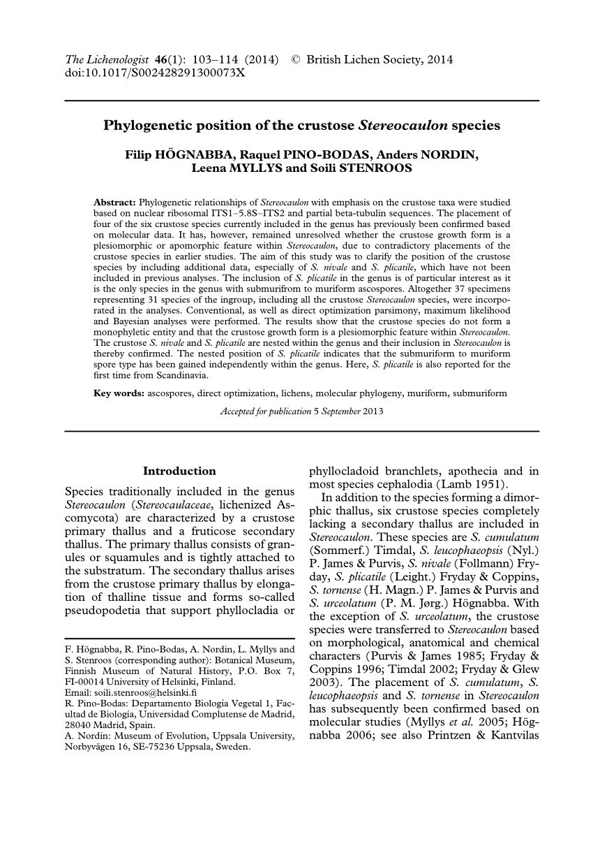 Pdf Phylogenetic Position Of The Crustose Stereocaulon Species
