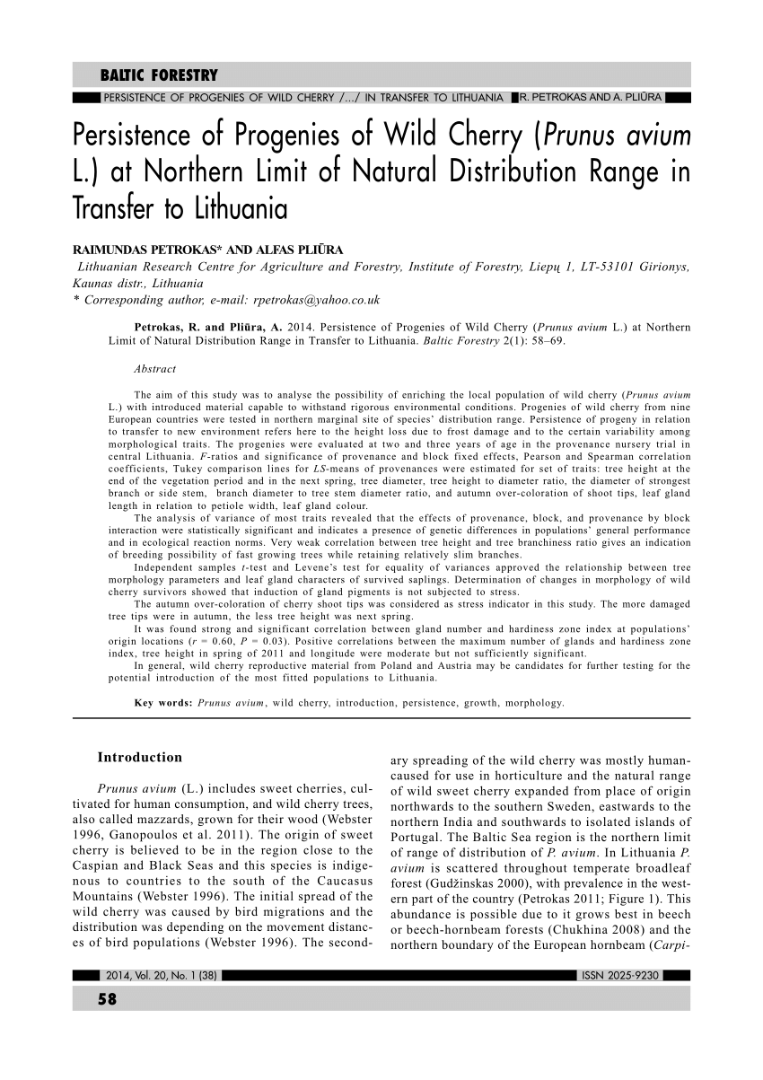 Pdf Persistence Of Progenies Of Wild Cherry Prunus Avium L At Northern Limit Of Natural Distribution Range In Relation To Transfer To Lithuania