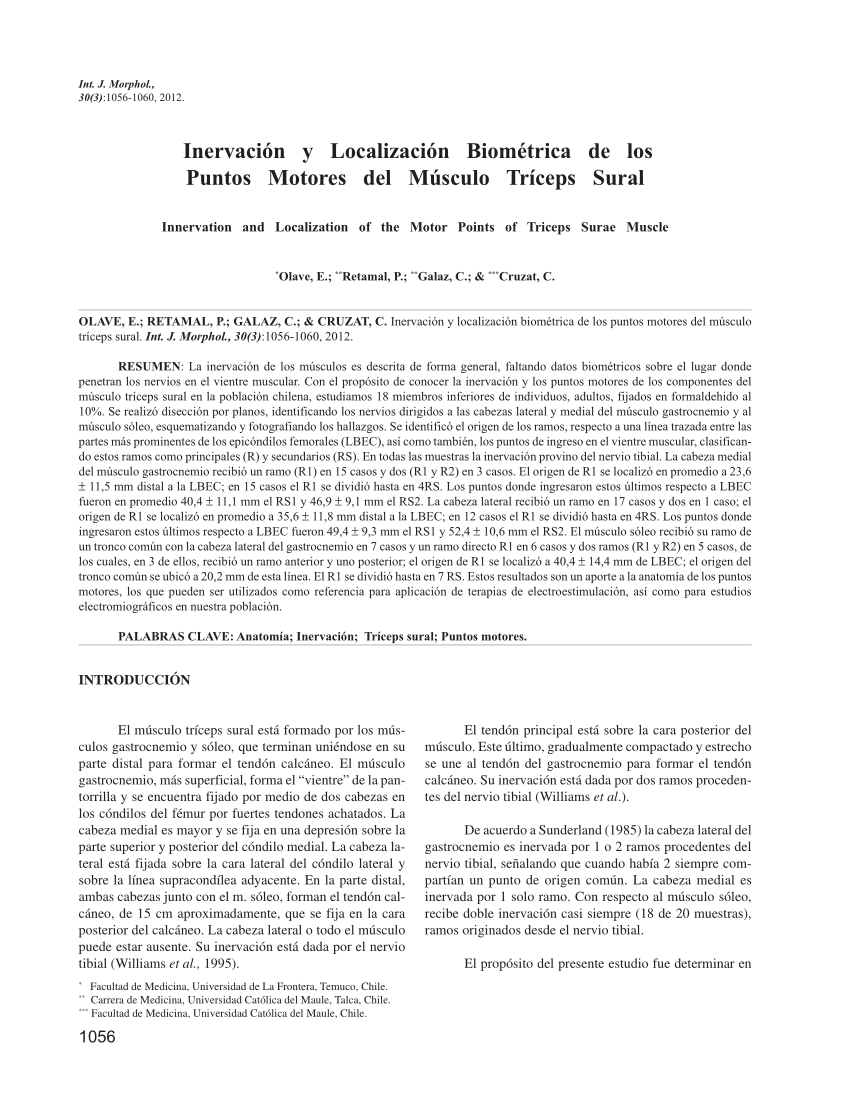 Pdf Inervación Y Localización Biométrica De Los Puntos Motores Del Músculo Tríceps Sural 2607