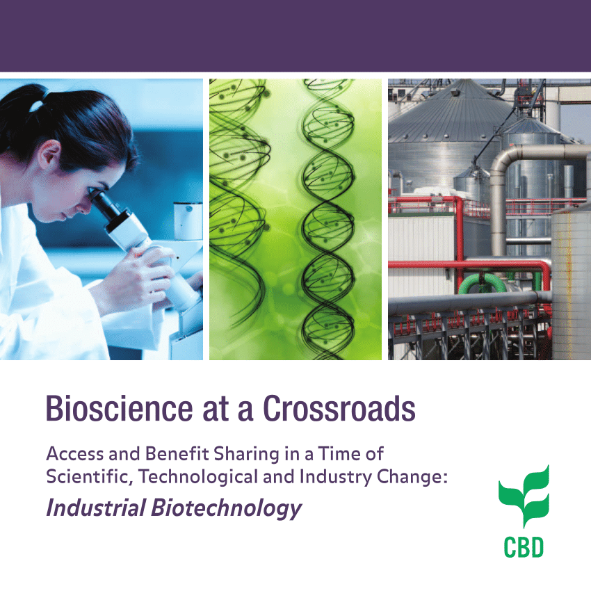 industrial biotechnology research papers