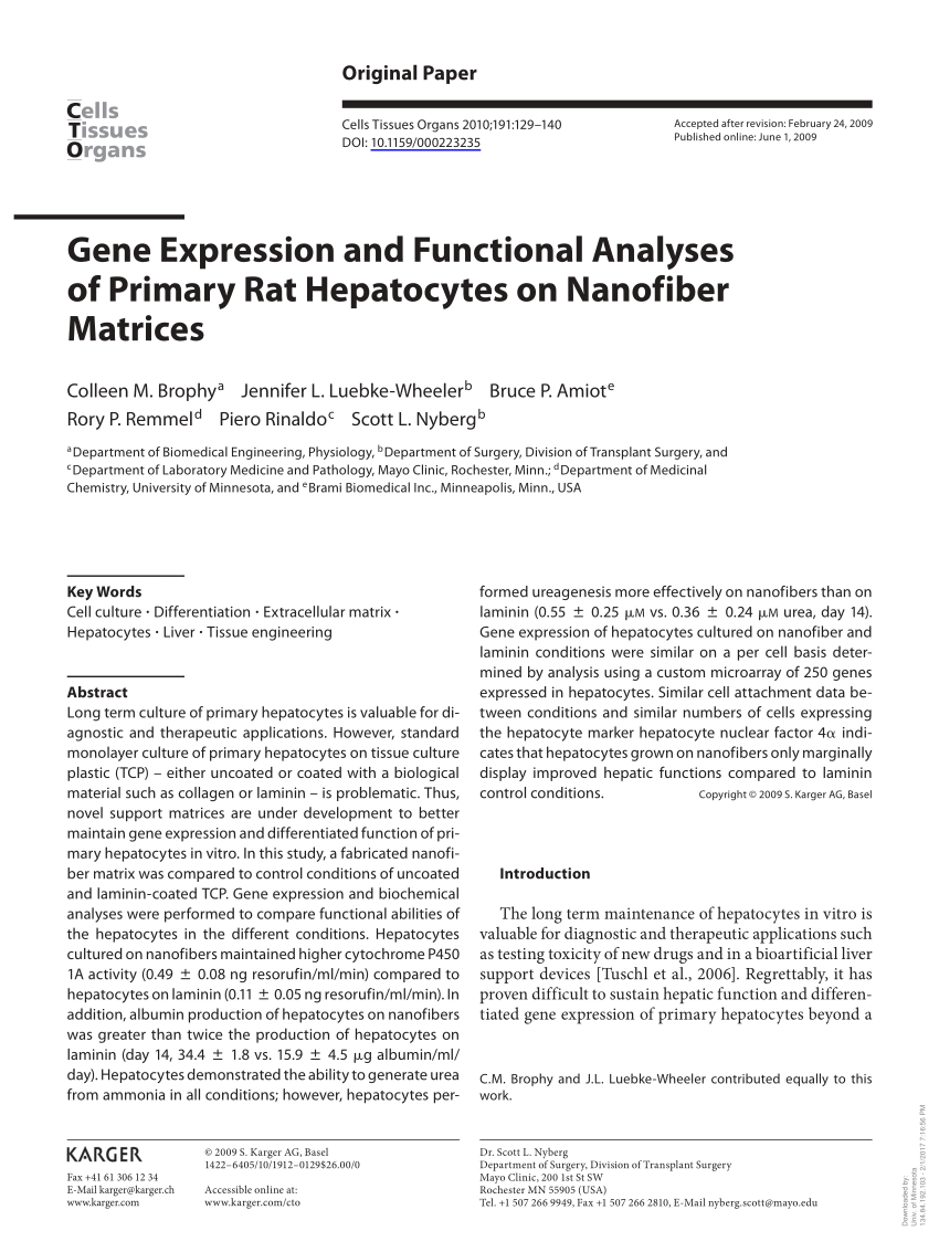 Pdf Gene Expression And Functional Analyses Of Primary Rat Hepatocytes On Nanofiber Matrices