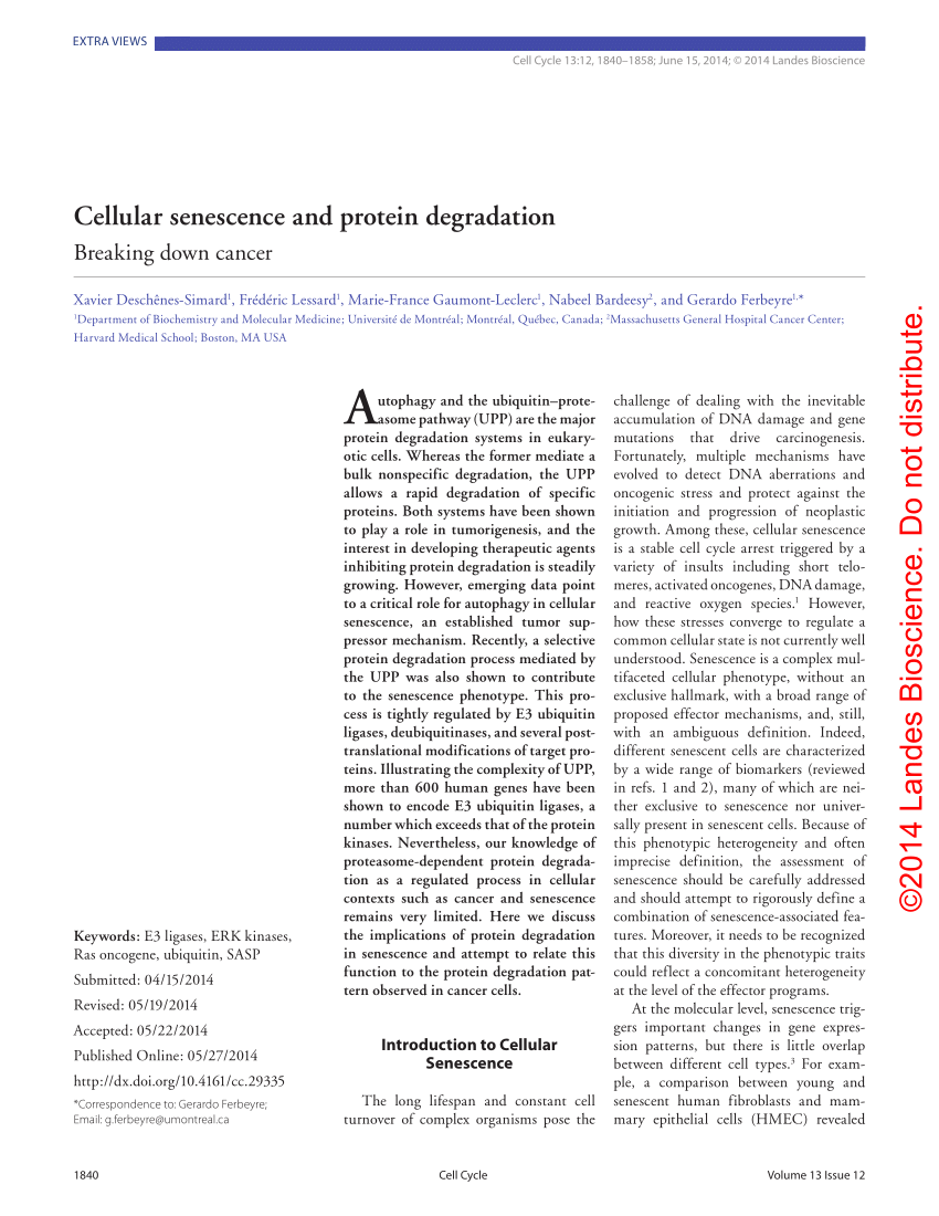 PDF) Cellular senescence and protein degradation Breaking down cancer