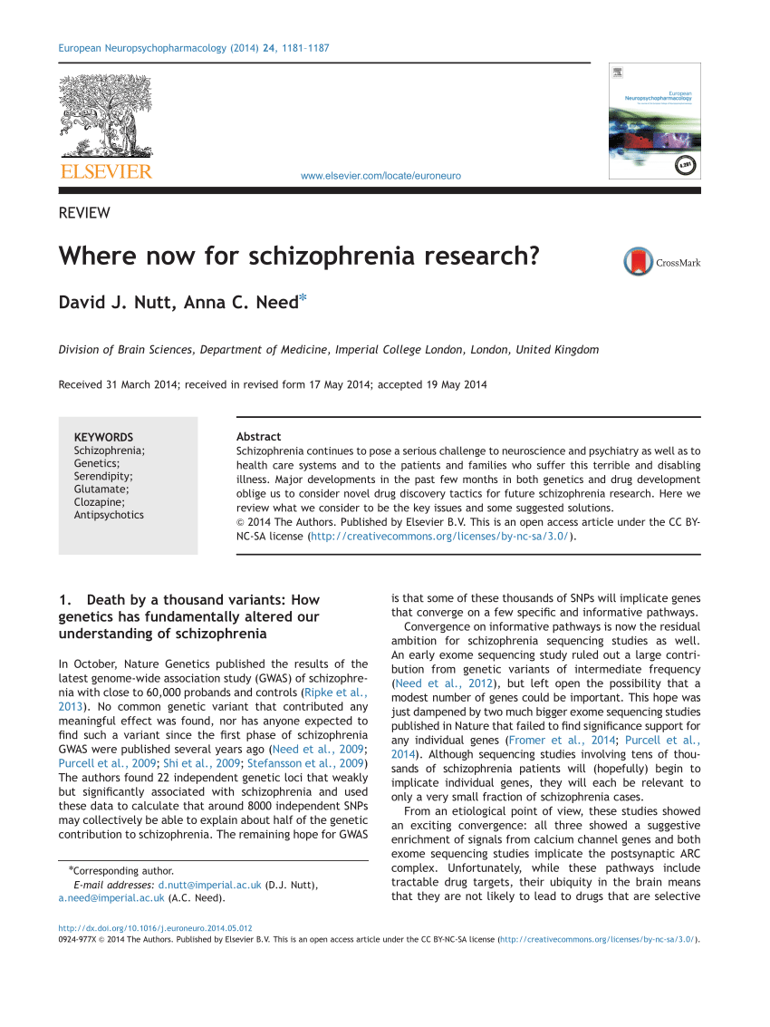 the research on schizophrenia