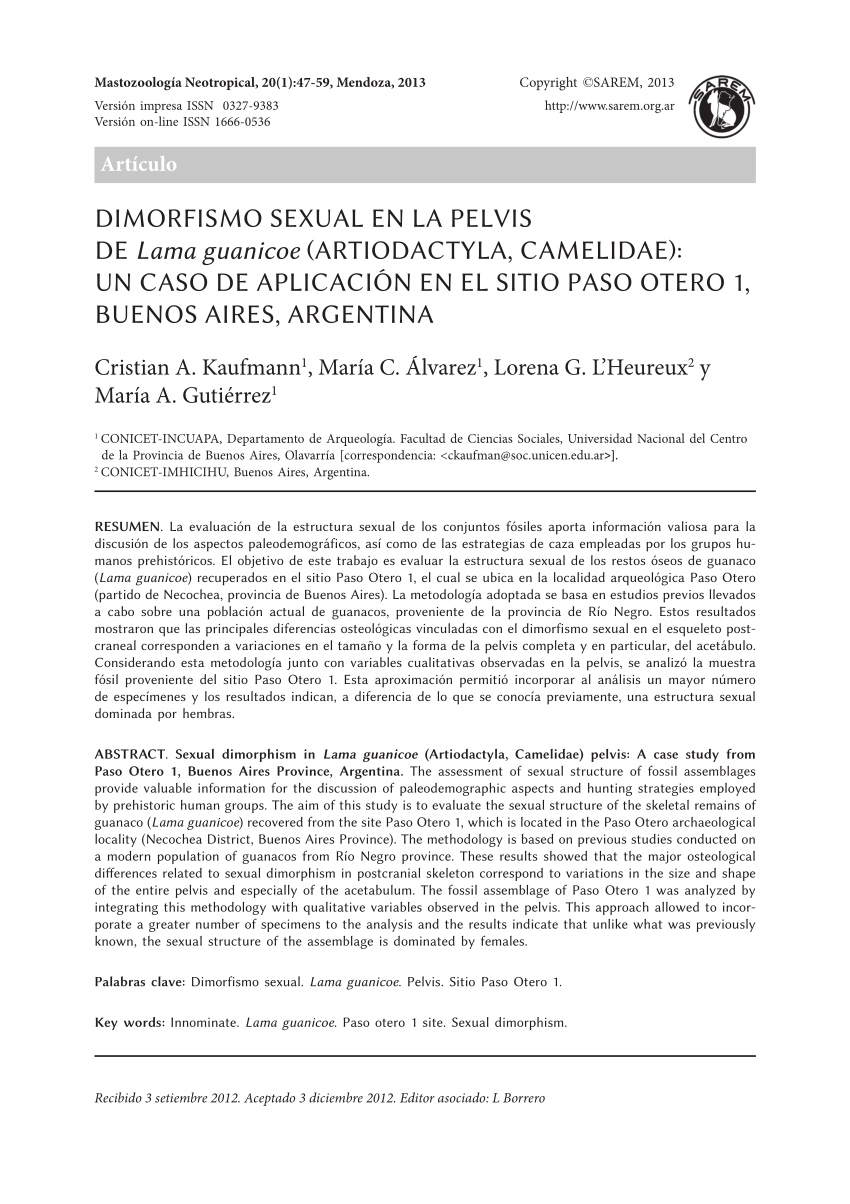 PDF Dimorfismo sexual en la pelvis de Lama guanicoe Artiodactyla  