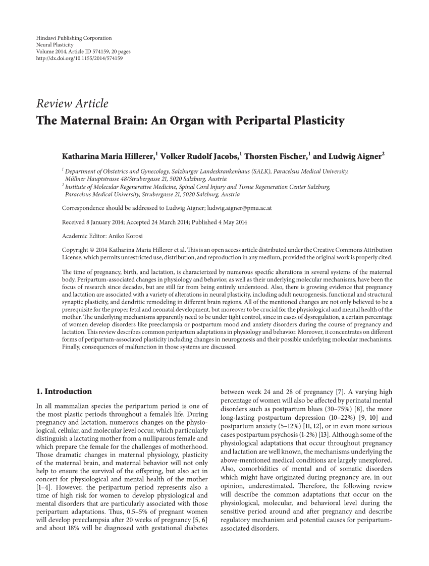 PDF The Maternal Brain An Organ with Peripartal Plasticity