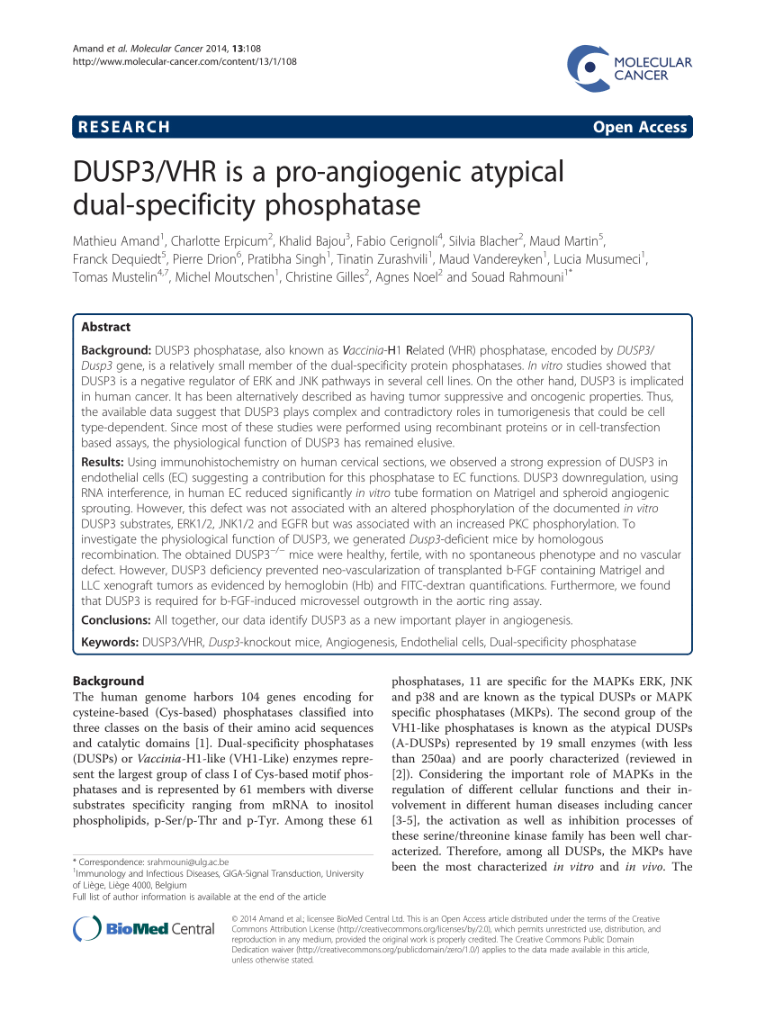 PDF) DUSP3/VHR is a pro-angiogenic atypical dual-specificity ...