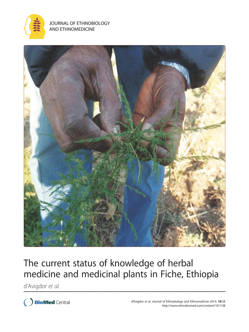 Pdf The Current Status Of Knowledge Of Herbal Medicine And Medicinal Plants In Fiche Ethiopia