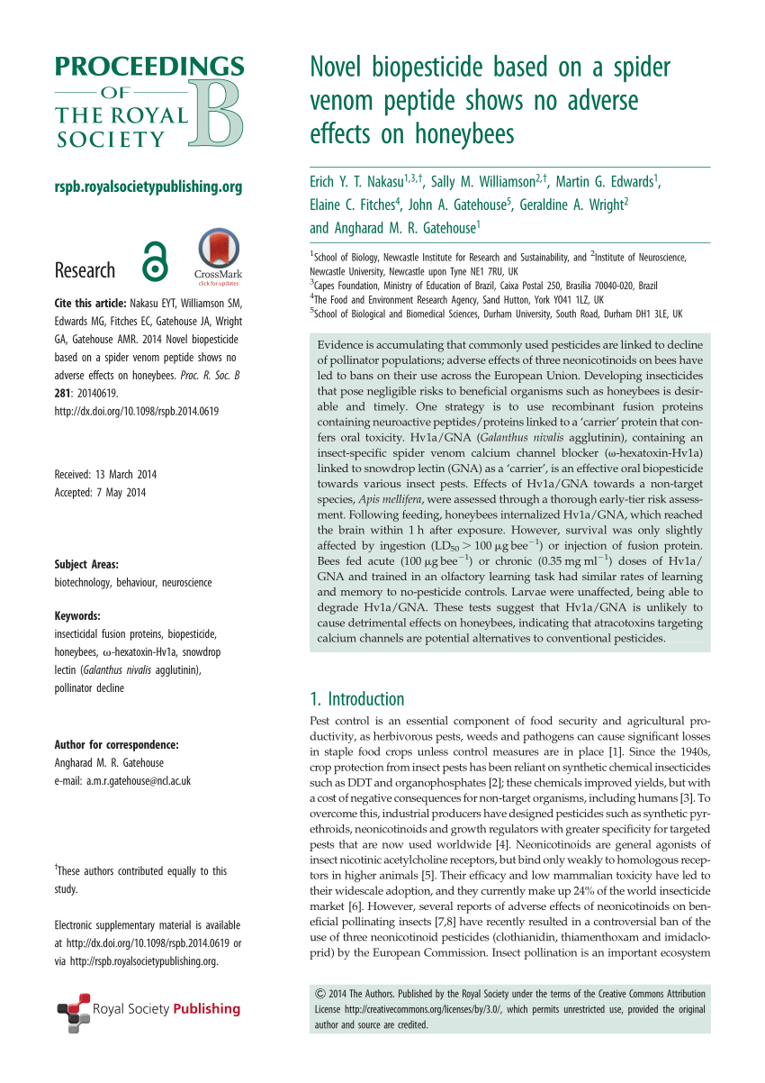 Spider Silk and Venom - Molecule of the Month - July 2002