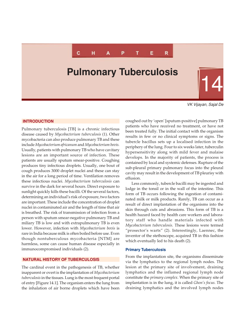 literature review on tuberculosis pdf