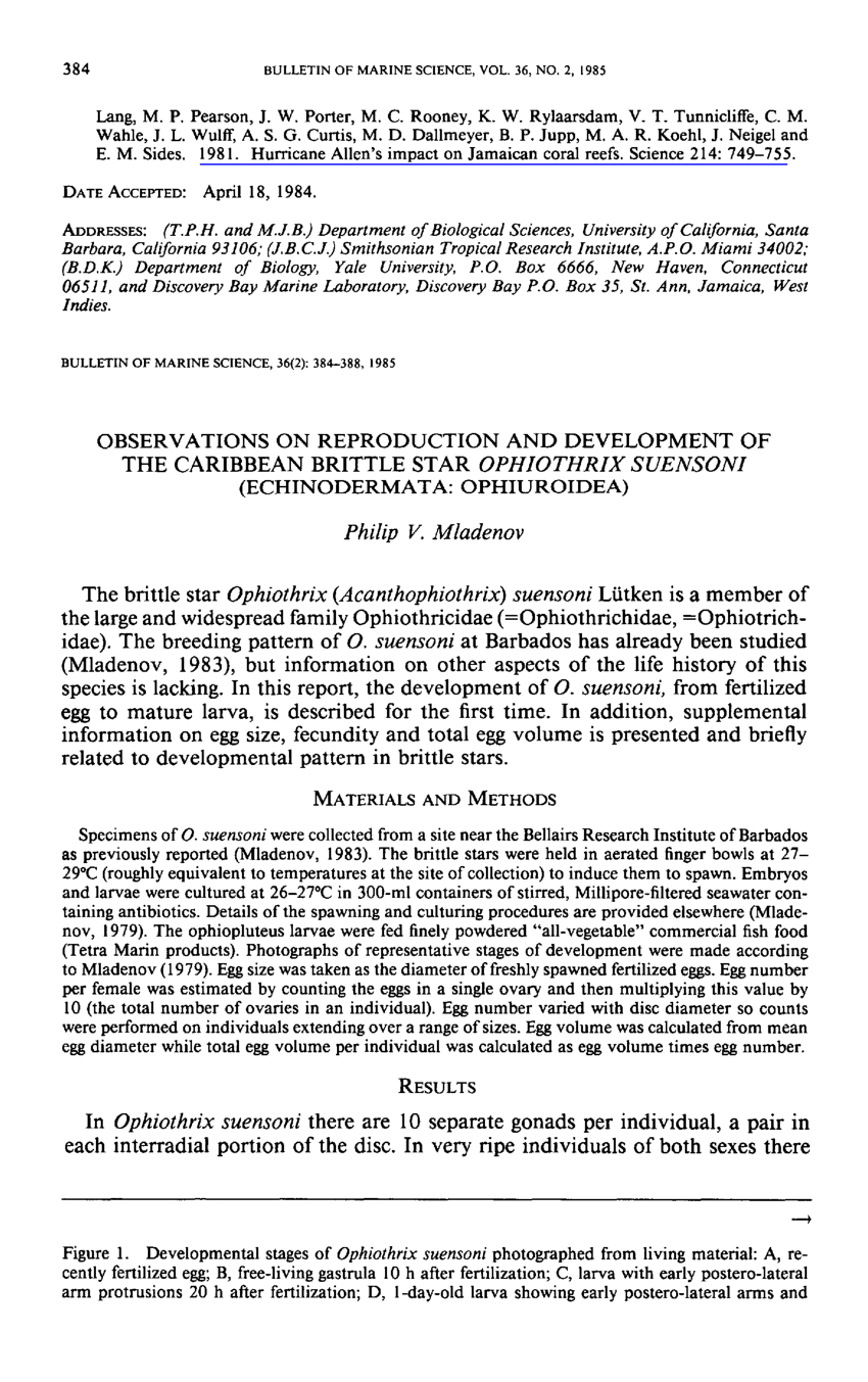 Pdf Observations On Reproduction And Development Of The Caribbean Brittle Star Ophiothrix Suensoni Echinodermata Ophiuroidea
