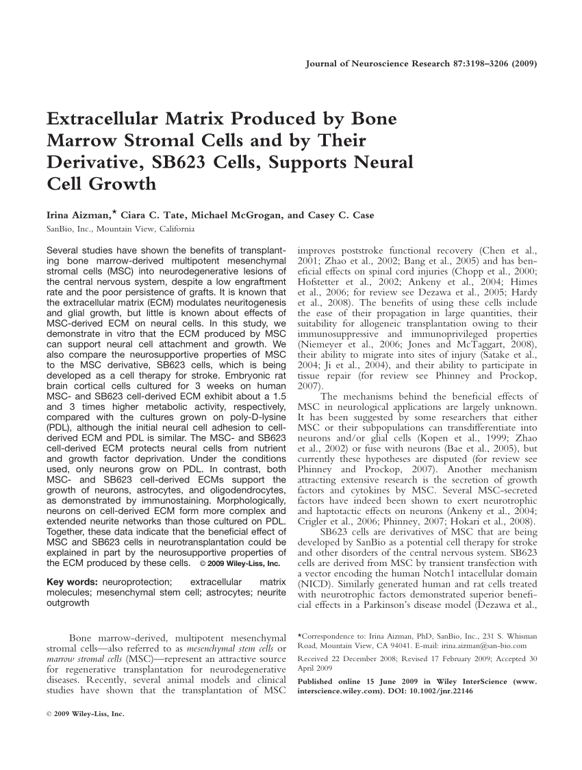 PDF) Extracellular Matrix Produced by Bone Marrow Stromal Cells