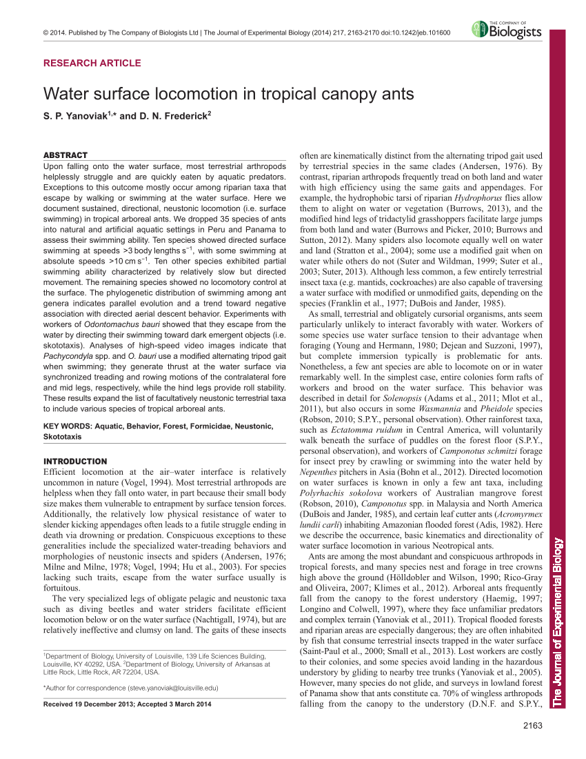 PDF Water surface locomotion in tropical canopy ants
