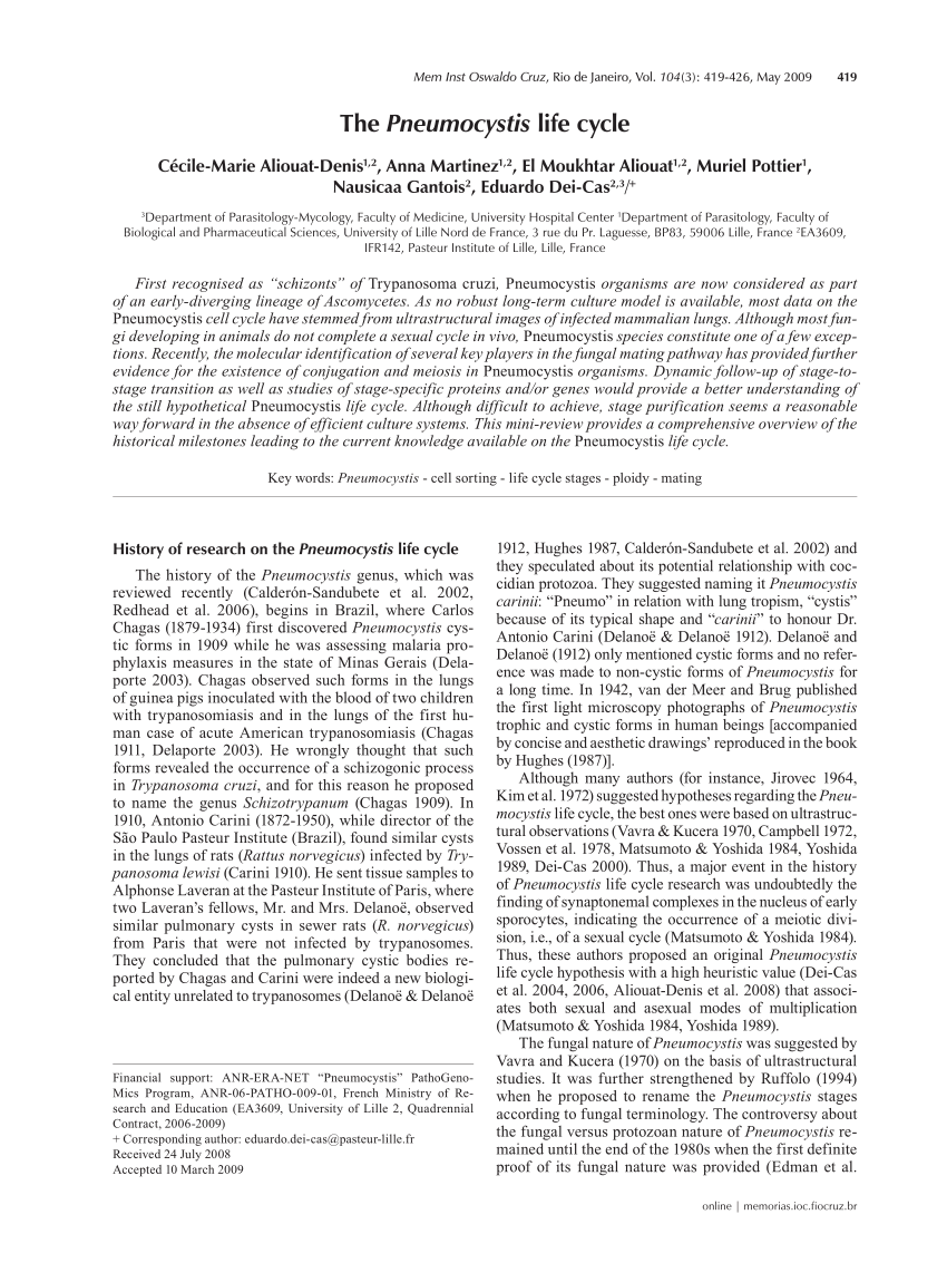 Pdf The Pneumocystis Life Cycle