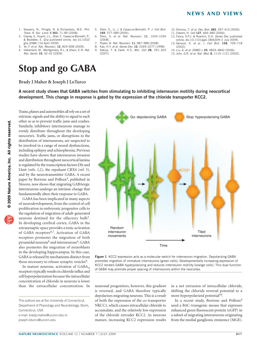 Pdf Stop And Go Gaba