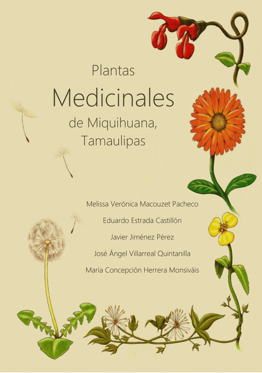 PDF) Plantas medicinales de Miquihuana, Tamaulipas