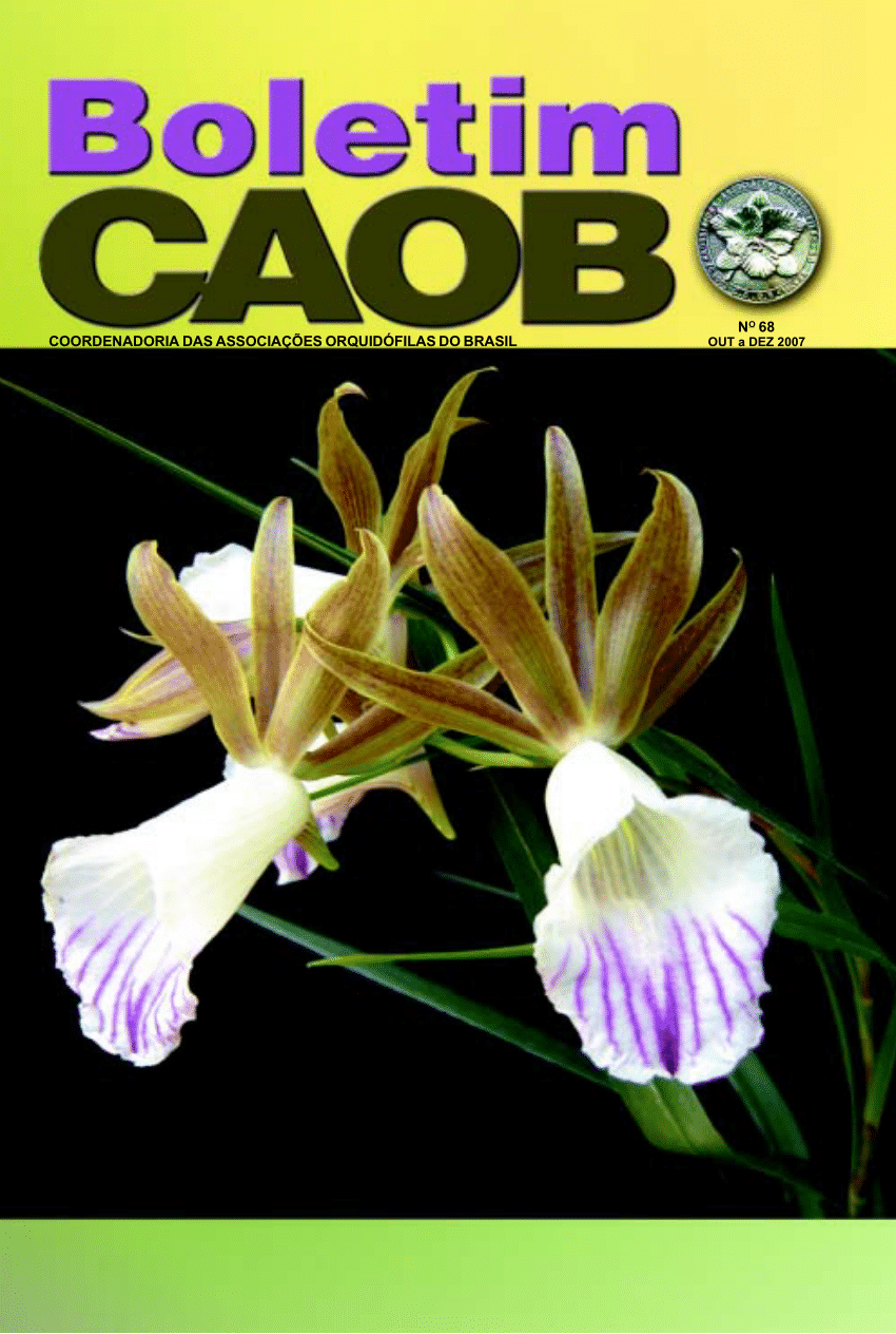 Coordenadoria das Associações Orquidófilas do Brasil - CAOB