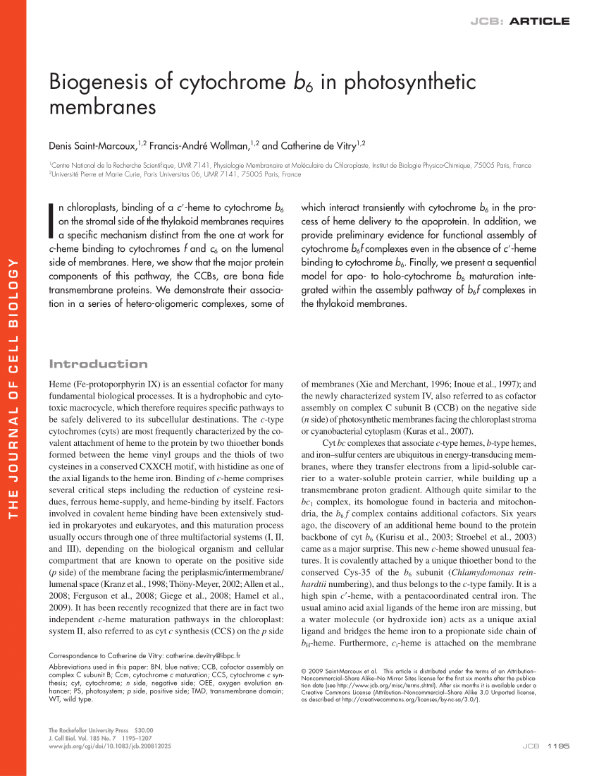 PDF Biogenesis of cytochrome b6 in photosynthetic membranes 