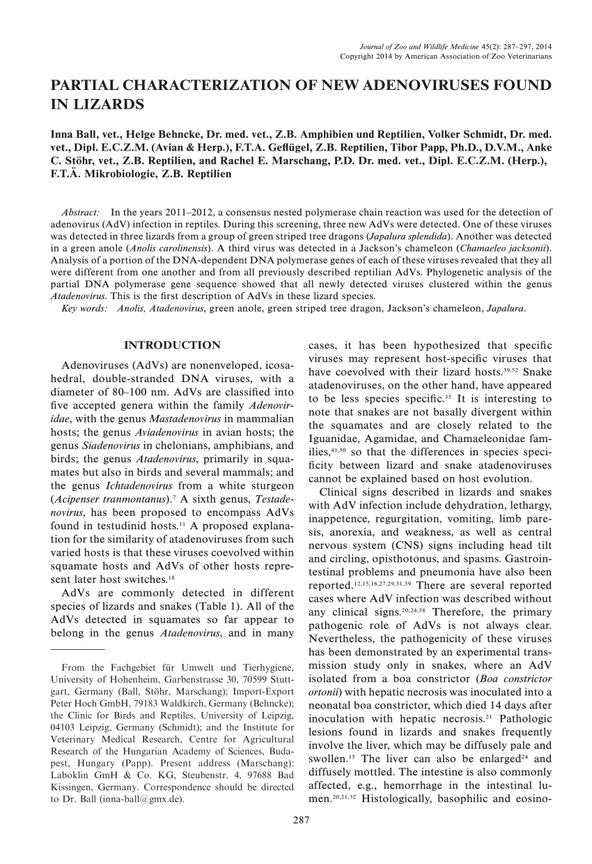 Pdf Partial Characterization Of New Adenoviruses Found In Lizards